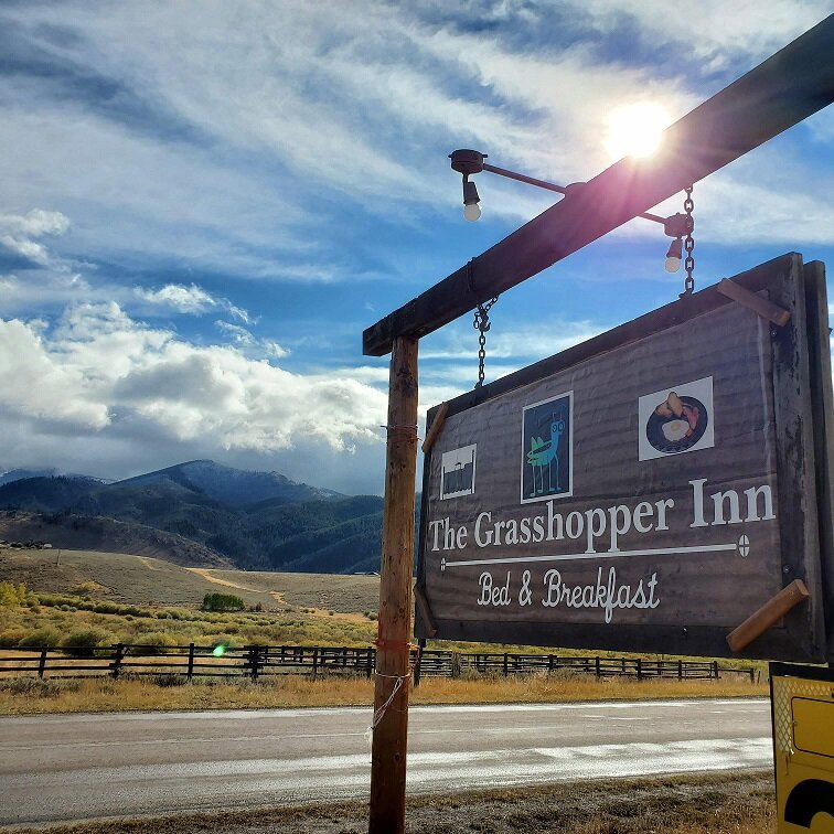 The Grasshopper Inn-官方