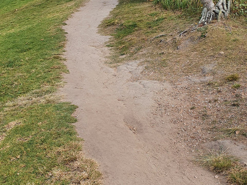 Lores Bonney Lookout-Miami必去景点