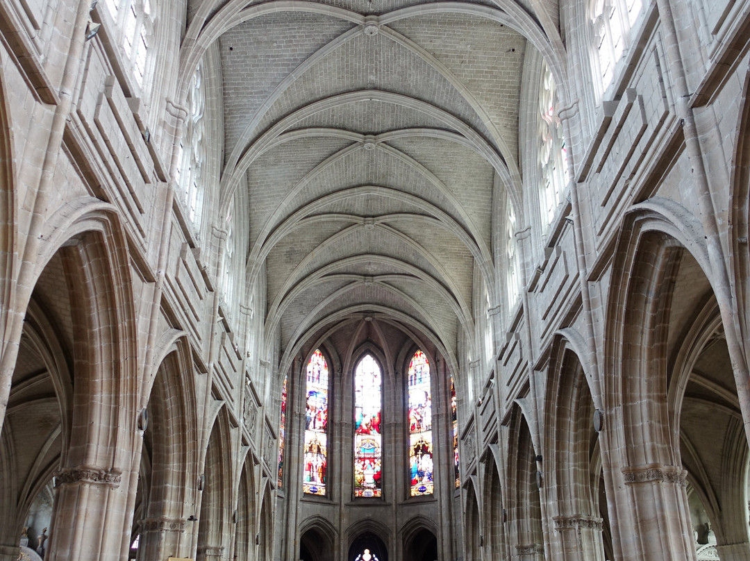 Cathédrale Saint-Louis-布洛瓦必去景点