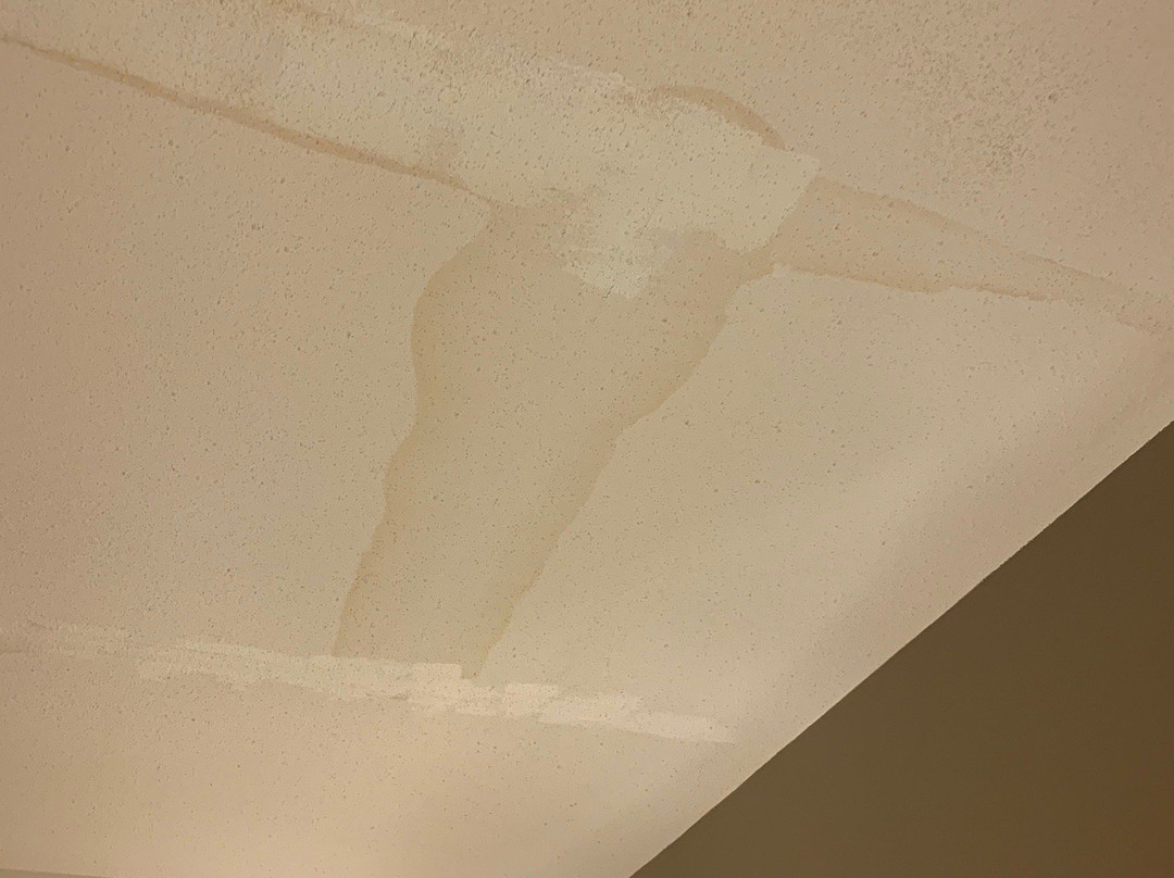 Holiday Inn Express & Suites New Orleans Airport South By IHG主图