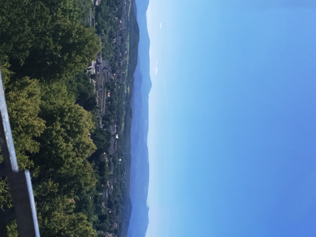 Tower "Mushroom" - Krzywoustego Hill景点图片