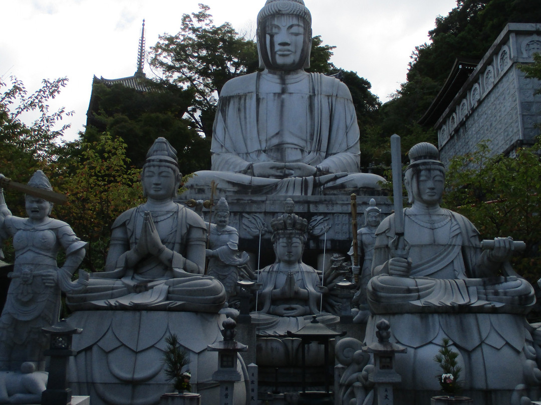 Tsubosaka-dera Temple景点图片