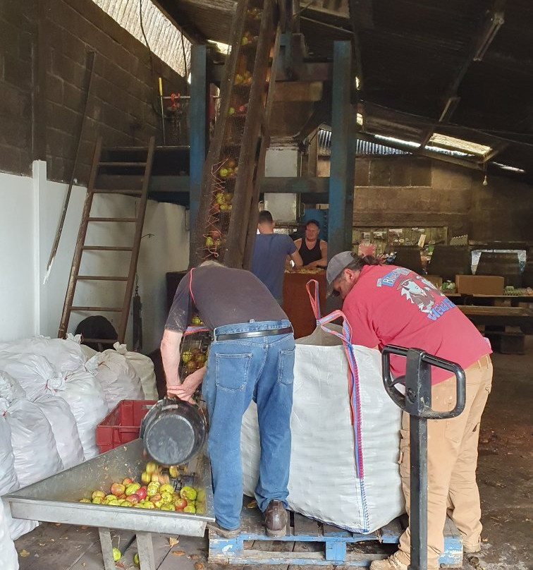 Wilkins Cider Farm景点图片