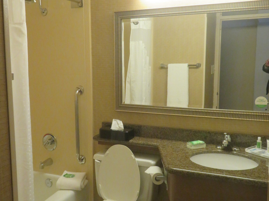 Holiday Inn Johnstown-Downtown, an IHG hotel主图