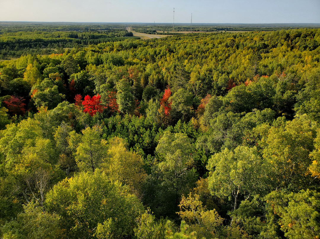 Paul M Thiede Fire Tower Park-Pequot Lakes必去景点