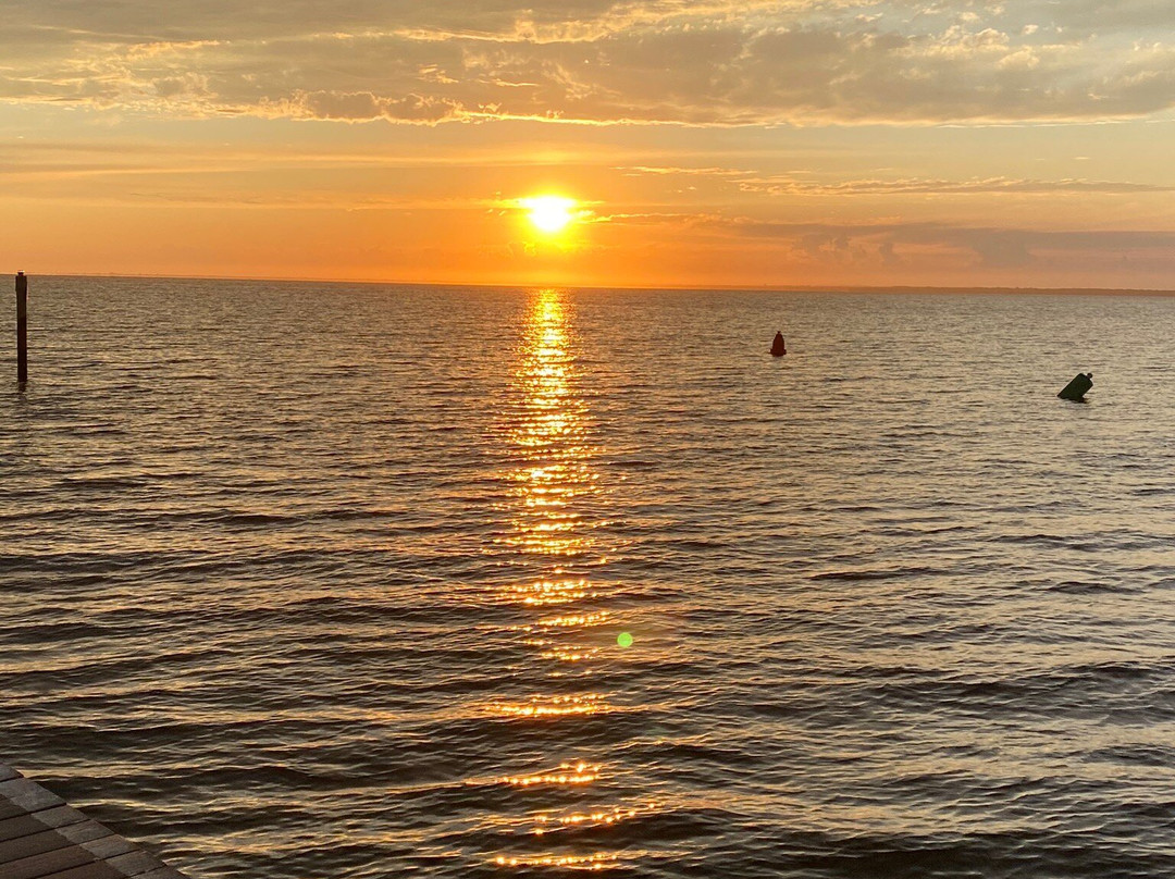 Sassyfrass restaurant