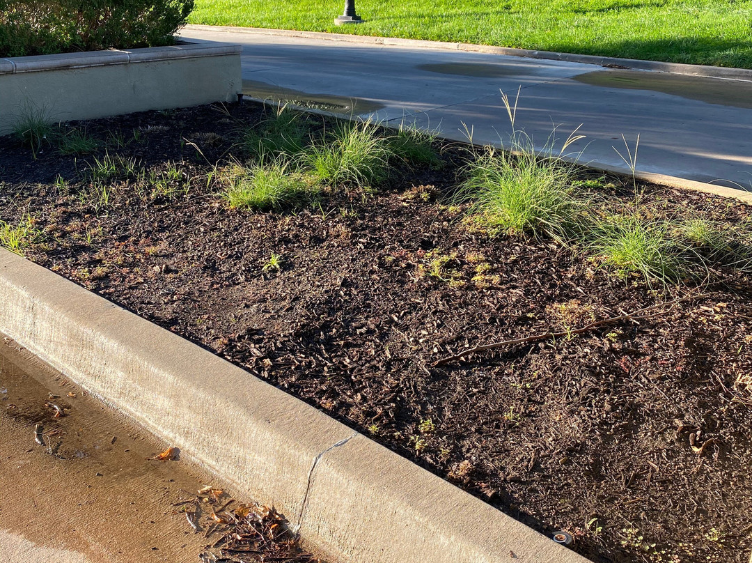 Intercontinental Kansas City At The Plaza By IHG主图