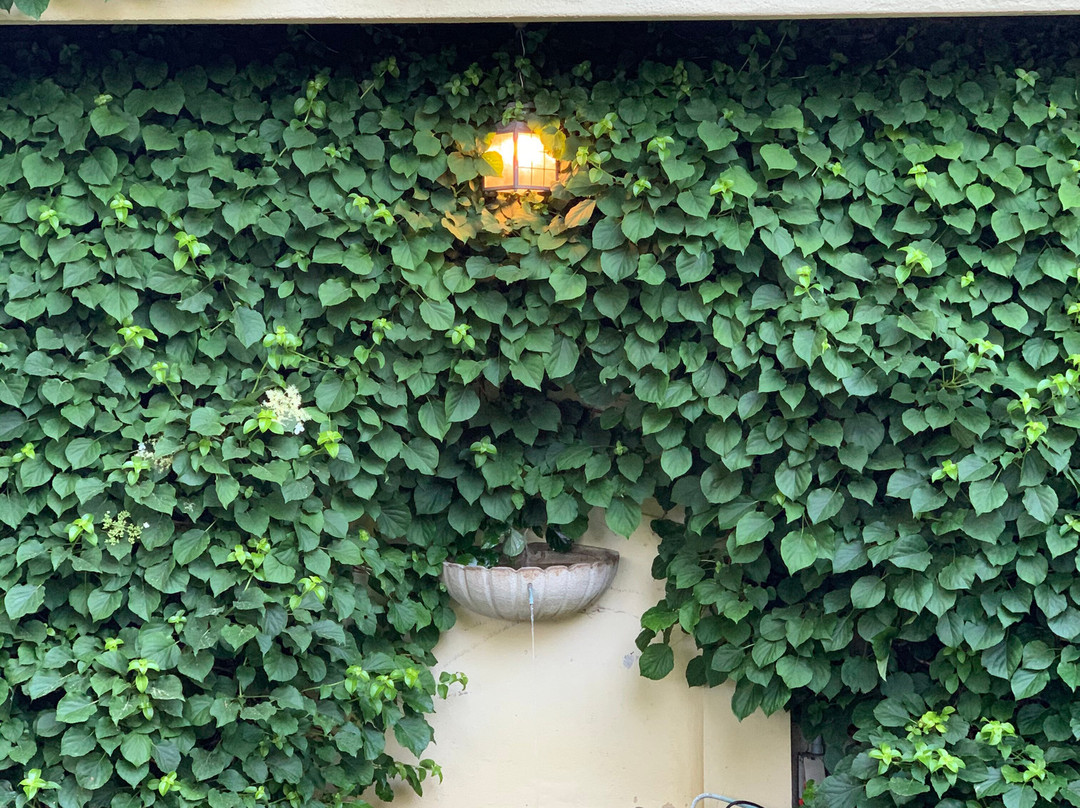 The Baker House 1650主图