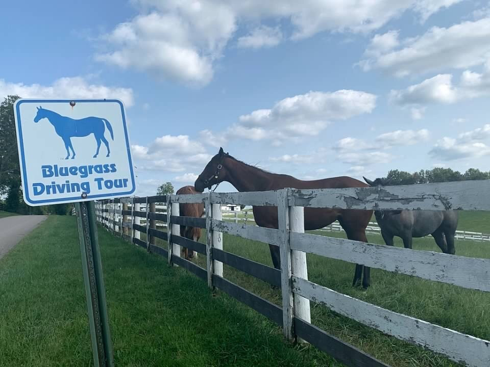 Kentucky Scenic Byway-列克星敦必去景点
