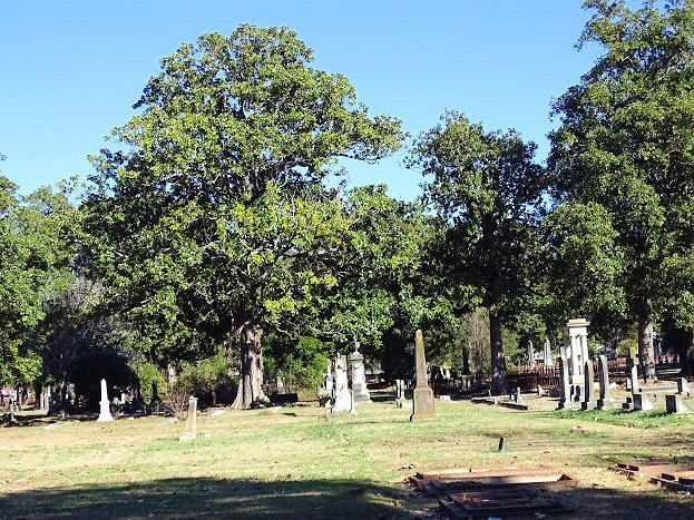 Magnolia Cemetery-奥古斯塔必去景点