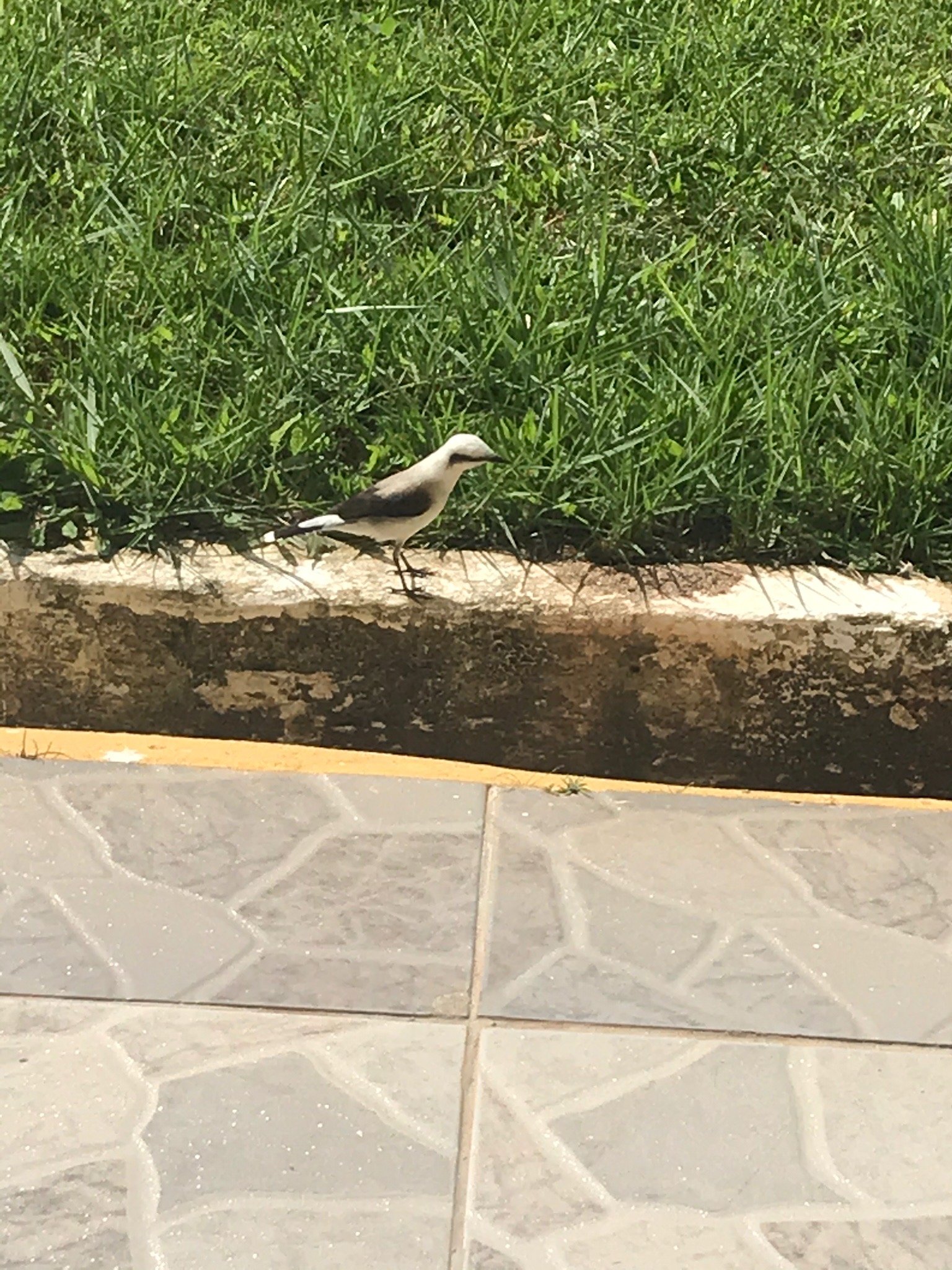 Hotel Portal de Barequecaba-官方