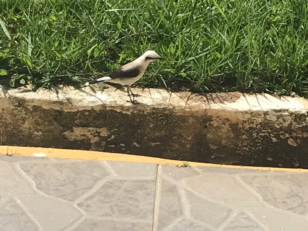 Hotel Portal de Barequecaba主图