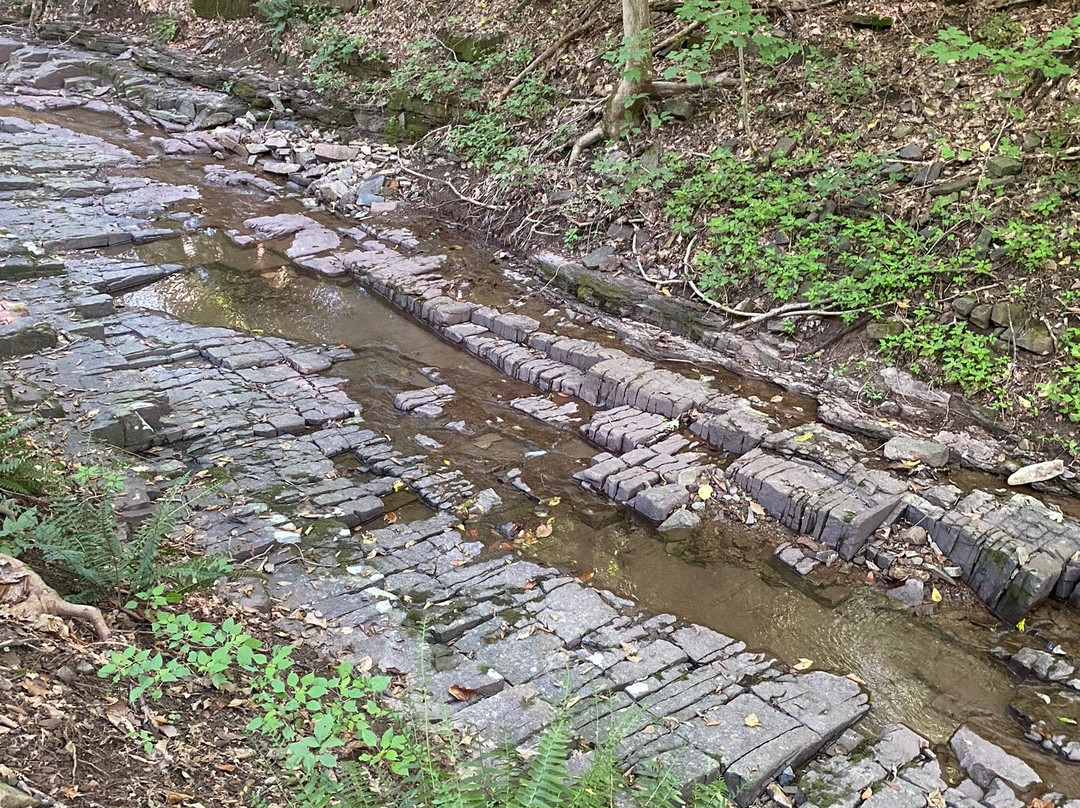 Lock 60 Recreation Area-Mont Clare必去景点