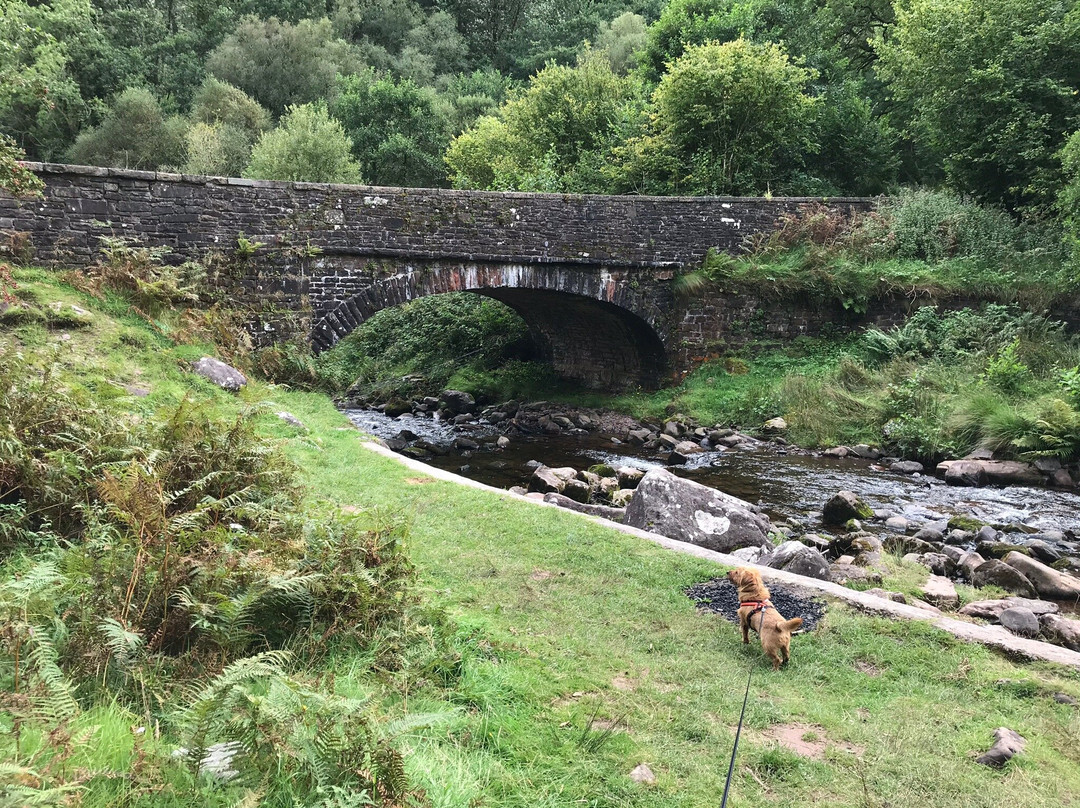 Lower Blaen y Glyn-Talybont-on-Usk必去景点