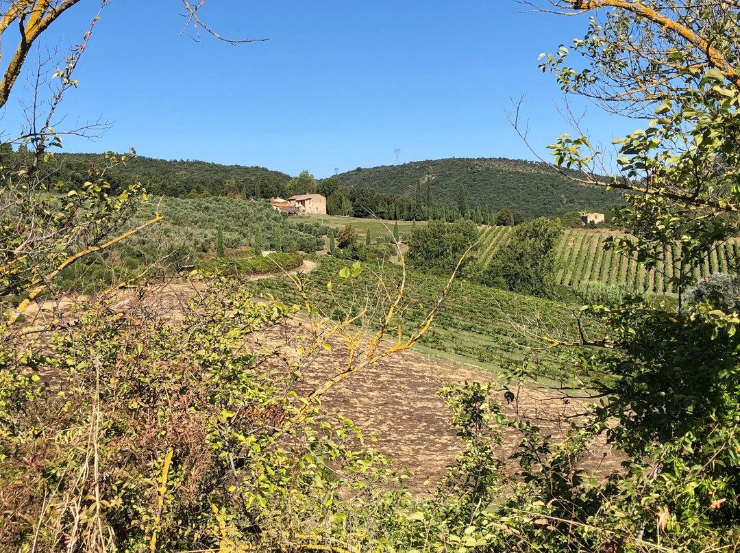 Agriturismo Fattoria di Fugnano主图
