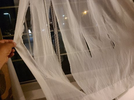 Quality Inn Tulare主图