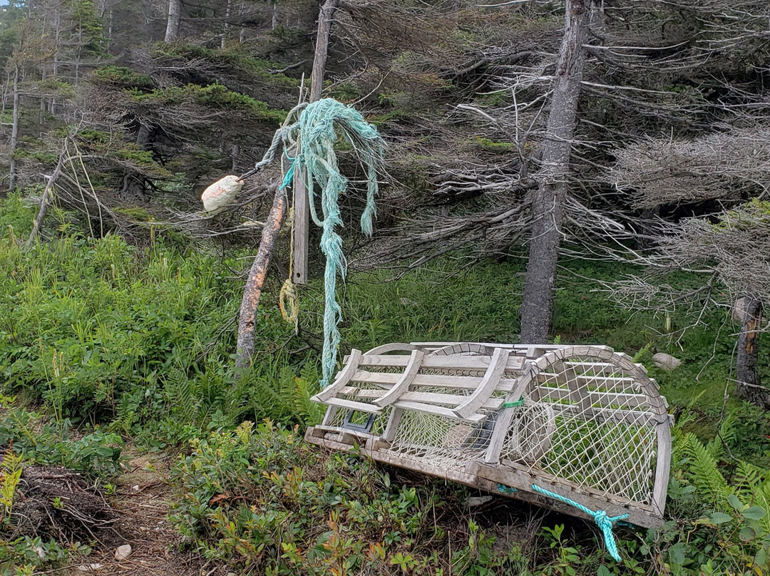 Coastal Trail-Neils Harbour必去景点