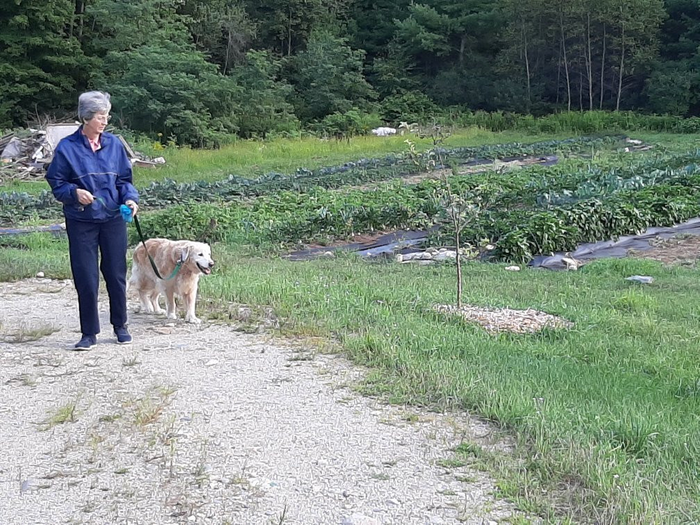 Stonewall Farm景点图片
