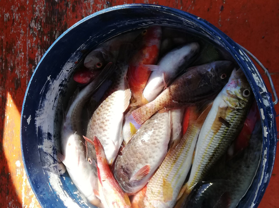 Borea Escursioni e Pescaturismo-锡拉库扎必去景点
