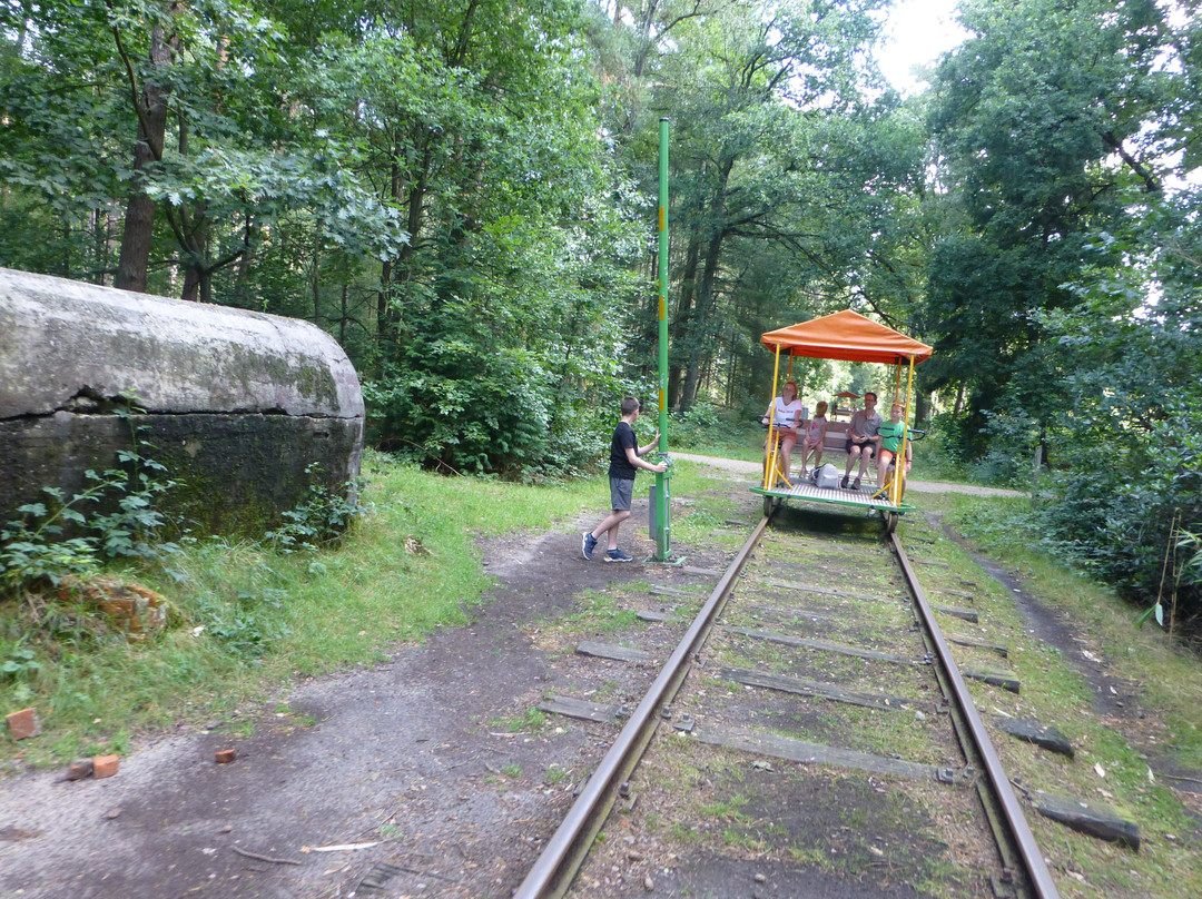 Spoorfietsen Kempens Landschap