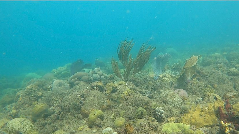 Steps Beach-吕康必去景点