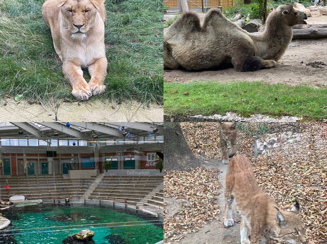Zoo Duisburg景点图片