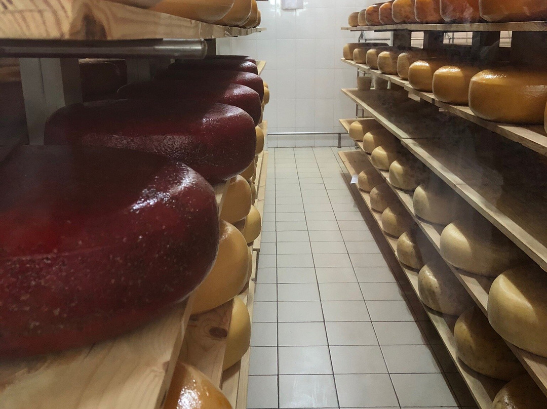 Yevropeyskaya Syrovarnya-Shabo必去景点