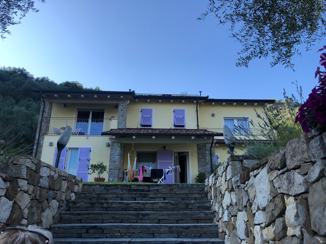 La Cicala Stonata主图