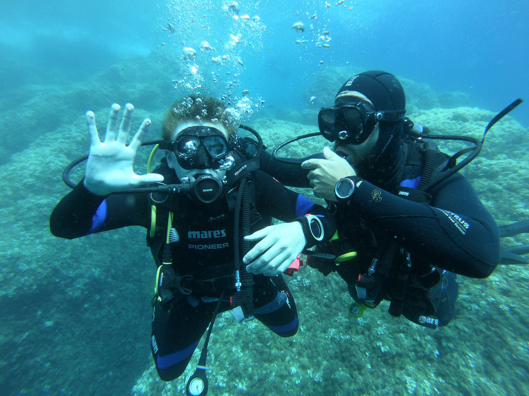 Diving Group Portofino景点图片