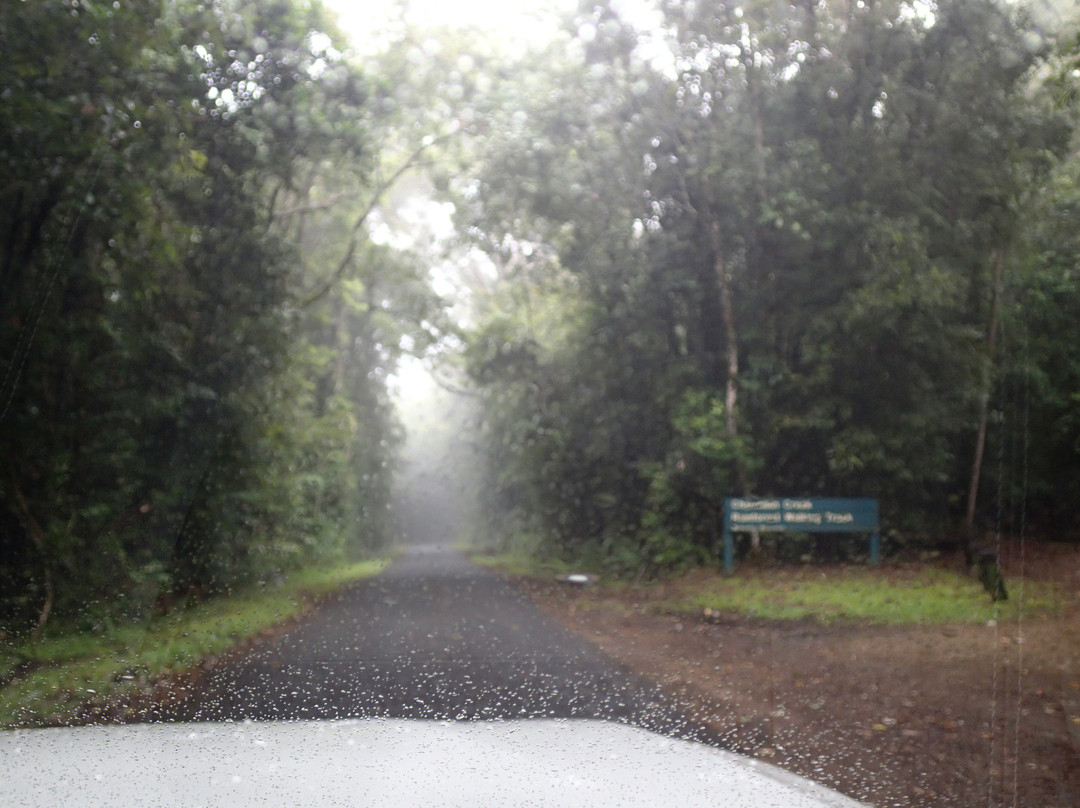 Tully Falls National Park-Ravenshoe必去景点