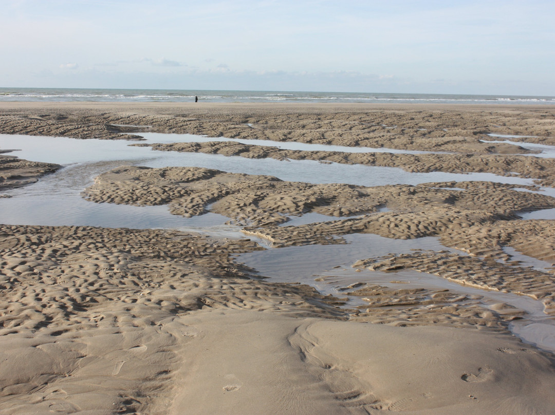 Le Touquet Beach景点图片