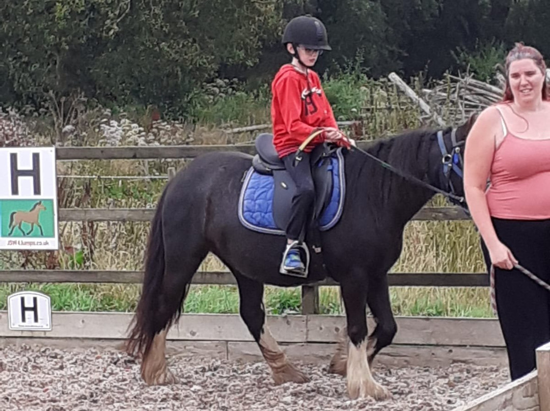 Garlands Farm Trekking and Horse Riding Centre-Highampton必去景点