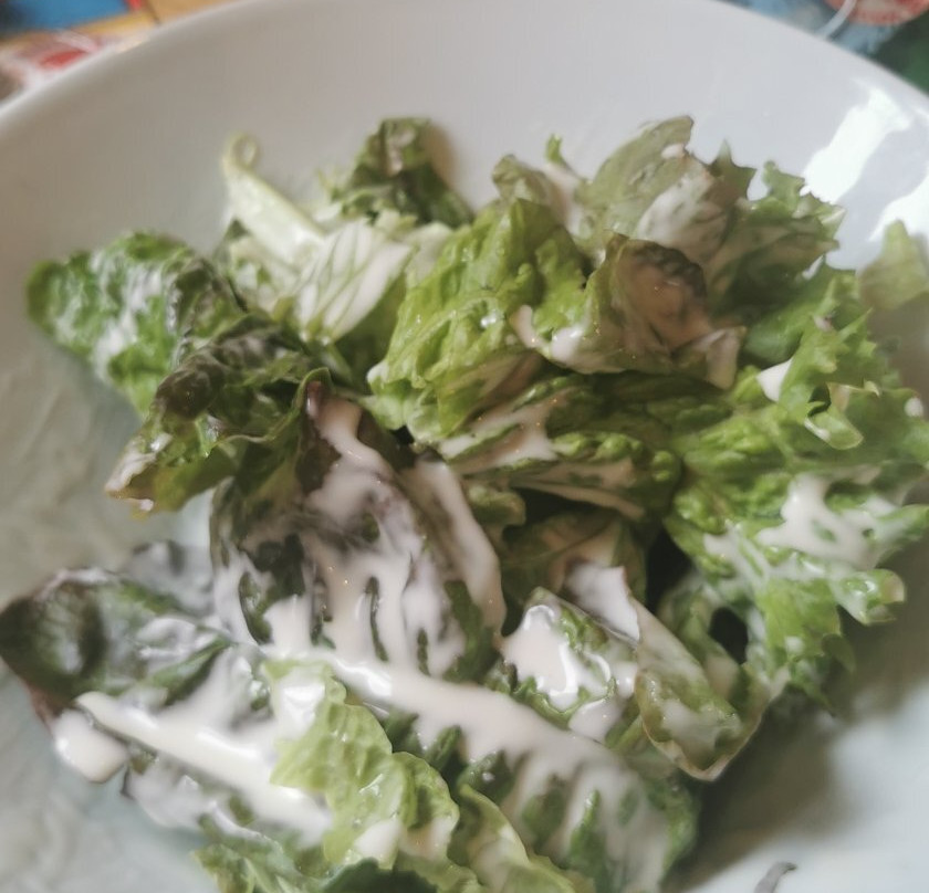 Restaurant-Pension Bellevue主图