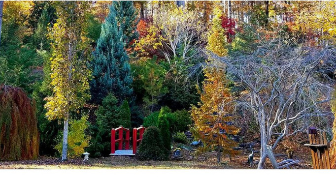 Cox Arboretum and Gardens-Canton必去景点