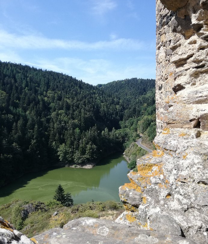 Chateau d'Alleuze景点图片