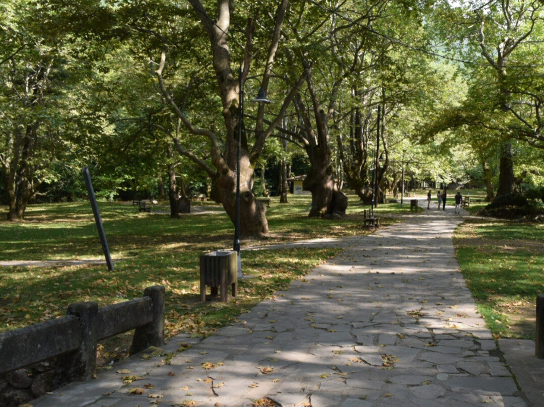 Agios Nikolaos Park-Naousa必去景点