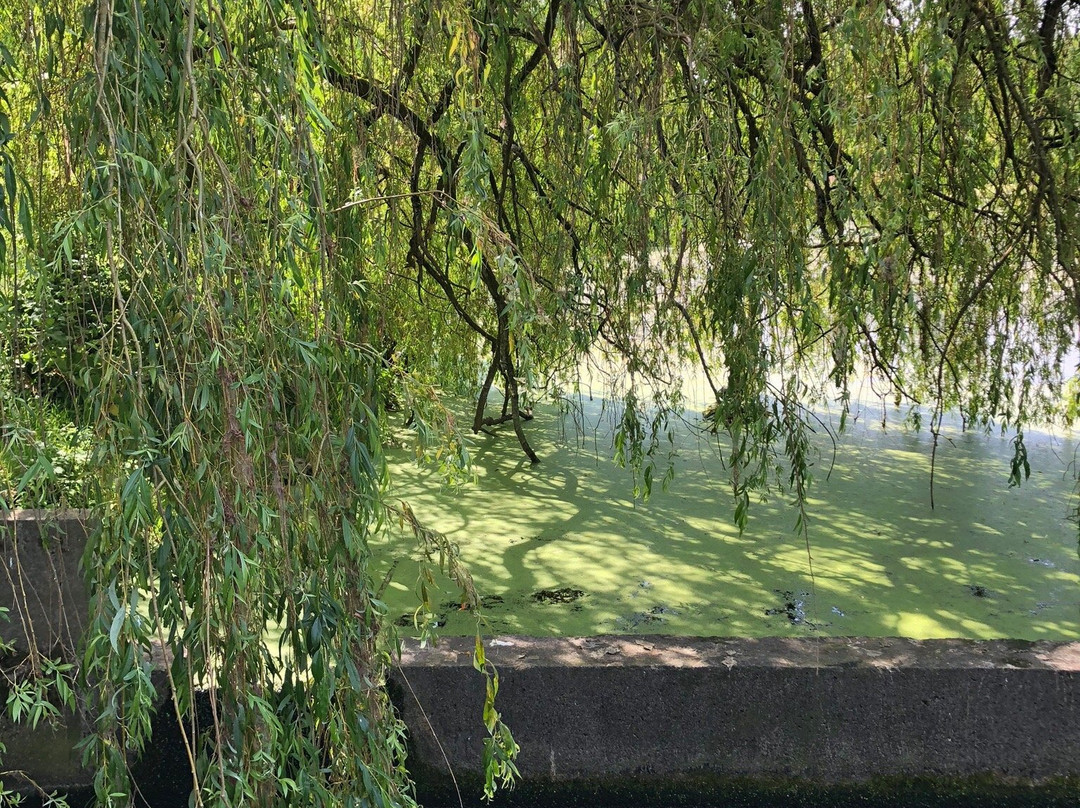 Parc du Heron景点图片