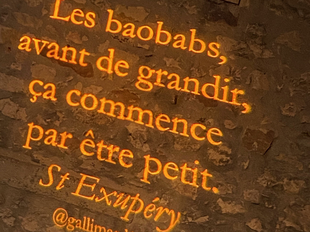 La Nuit des Chimeres景点图片