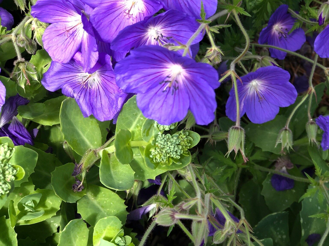 Riverwalk Center-布雷肯里奇必去景点