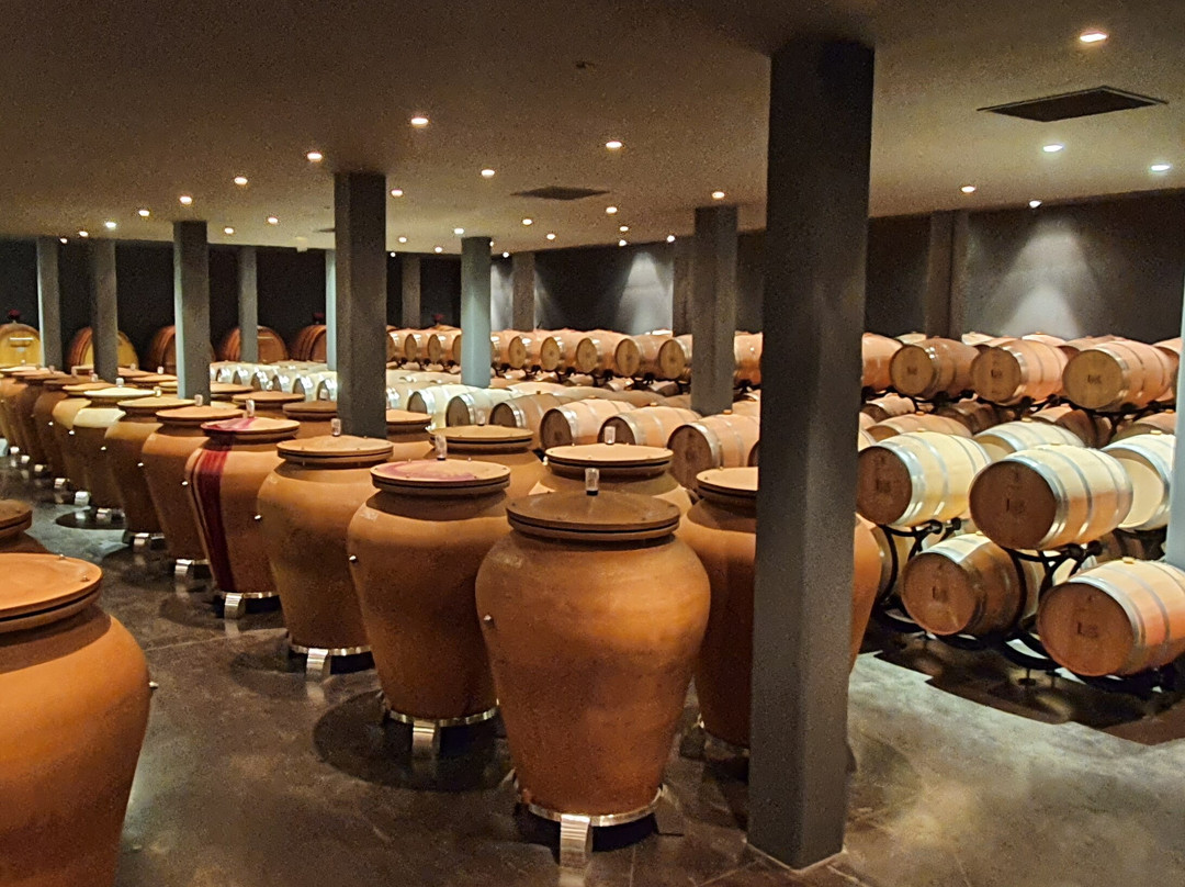 Château Larrivet Haut-Brion景点图片