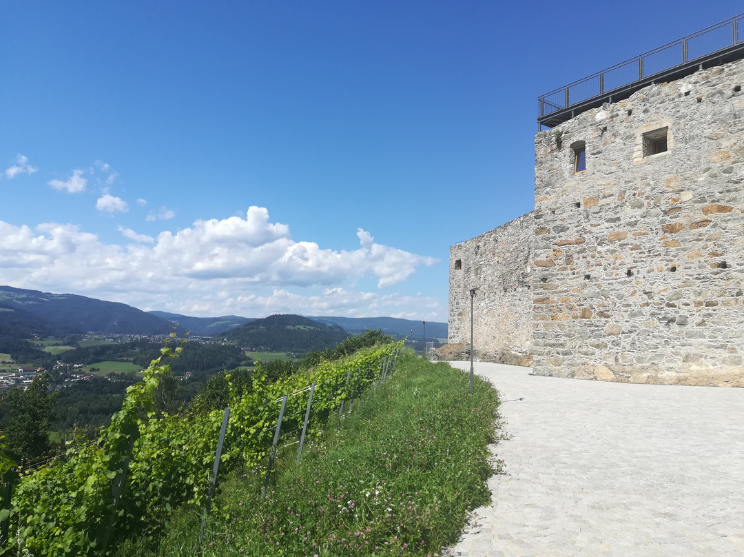 Burg Taggenbrunn景点图片