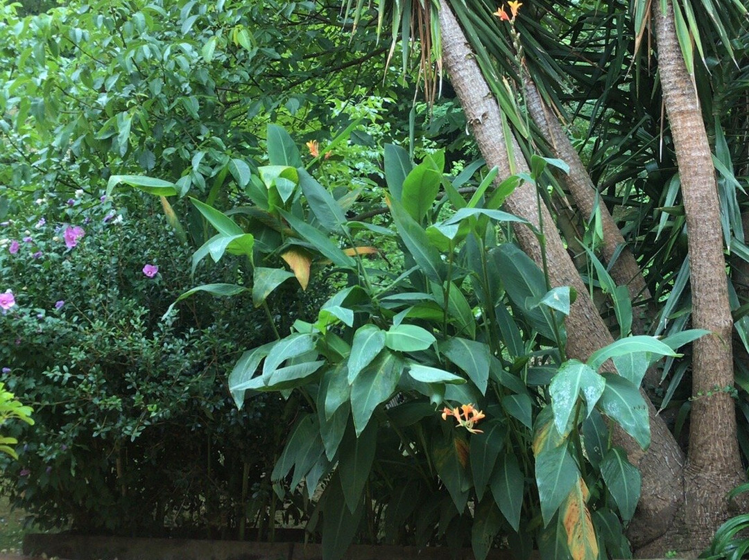 Hotel Metrokua主图