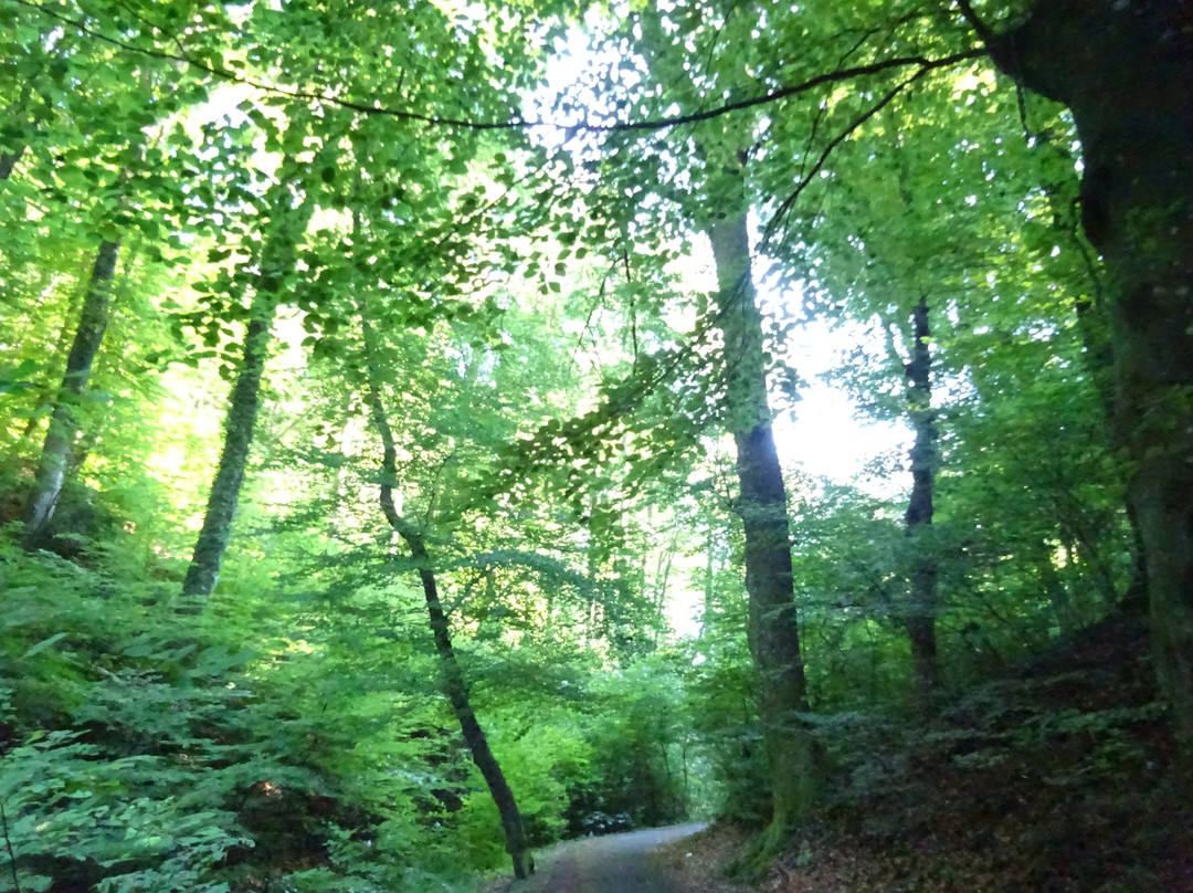 Gleichenberger Schlucht-泉格莱兴山必去景点