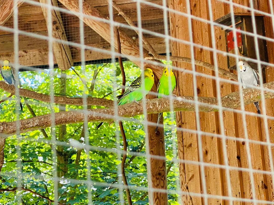 Tierpark Stadt Haag-Haag必去景点