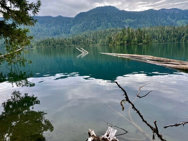 Packwood Lake Trail景点图片