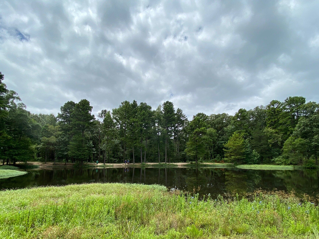 Lake Bob Sandlin State Park-Pittsburg必去景点