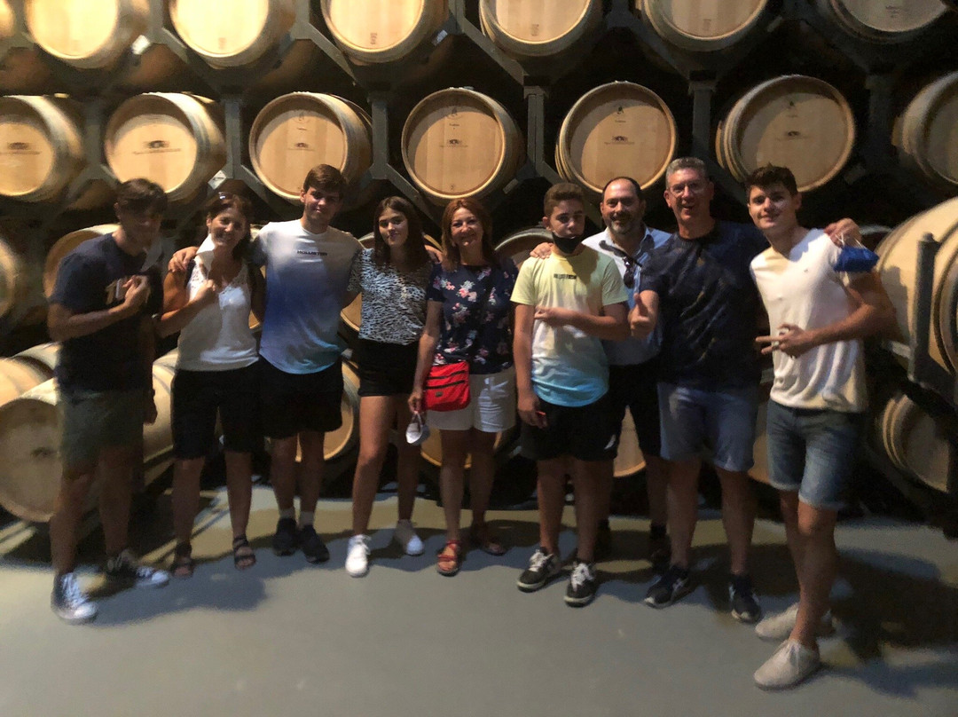 Bodegas Pago de Larrainzar-Ayegui必去景点