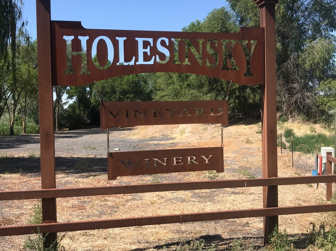 Holesinsky Vineyard & Winery-Buhl必去景点