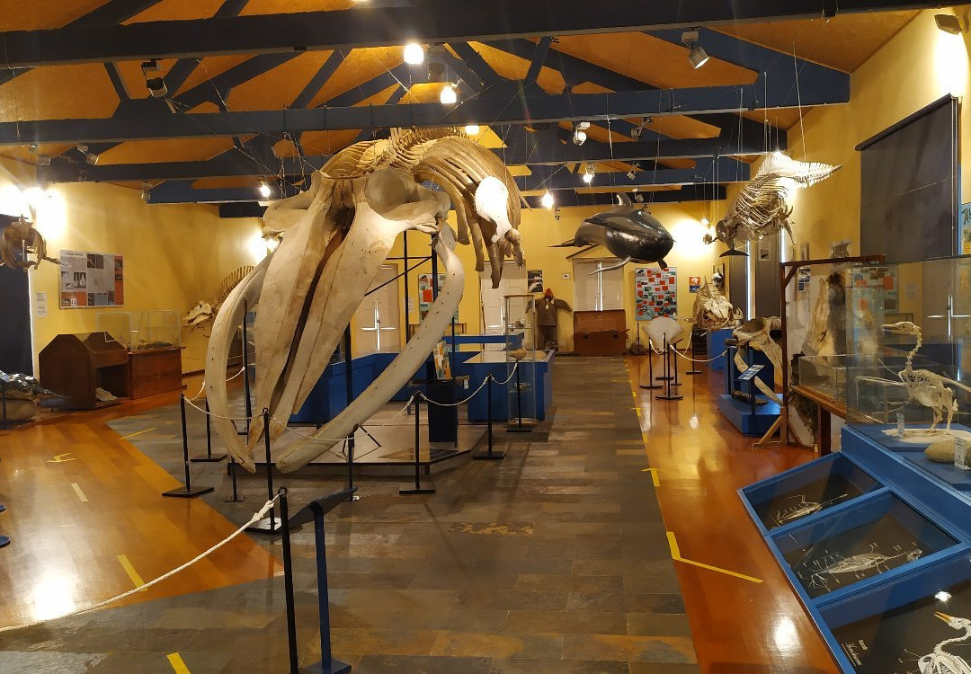 Museo de Historia Natural-费罗尔必去景点