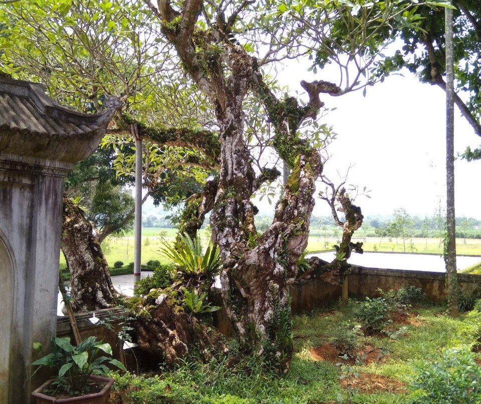 Le Lai Temple景点图片